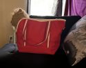 Pet Carrier Tote Bag